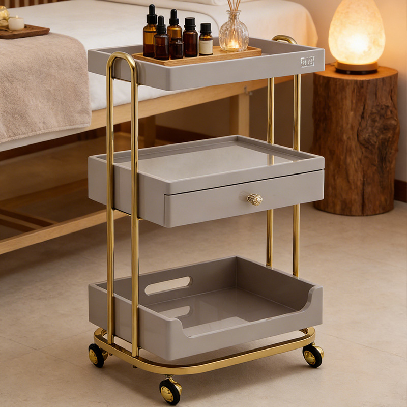Beauty Makeup Studio - Professioneller Schönheitssalon-Trolley mit Schubladen, Mobiler Aufbewahrungsorganizer